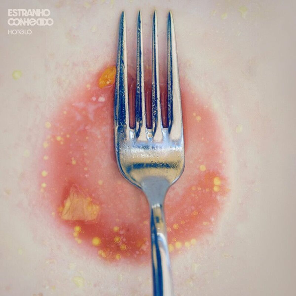 Album cover of Estranho Conhecido