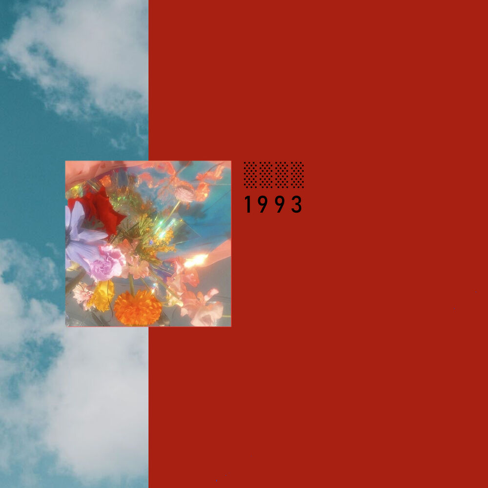 Picture of 1993