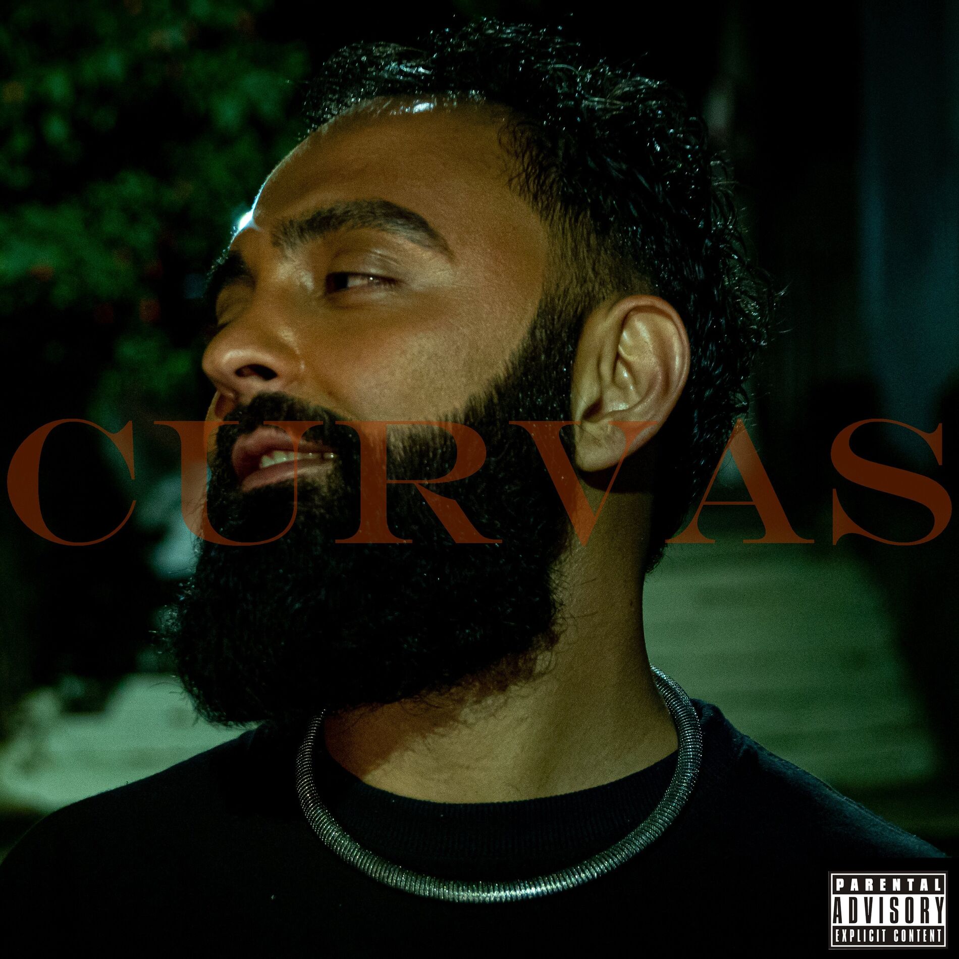 Album cover of Curvas