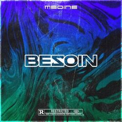 Cover of BEZOIN