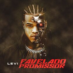 Cover of Favelado Promissor