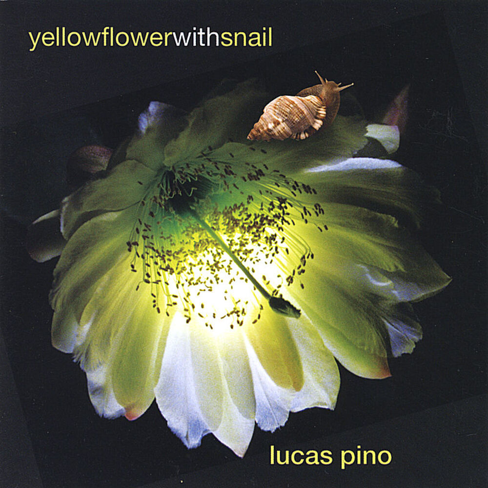 Picture of Yellow Flower with Snail