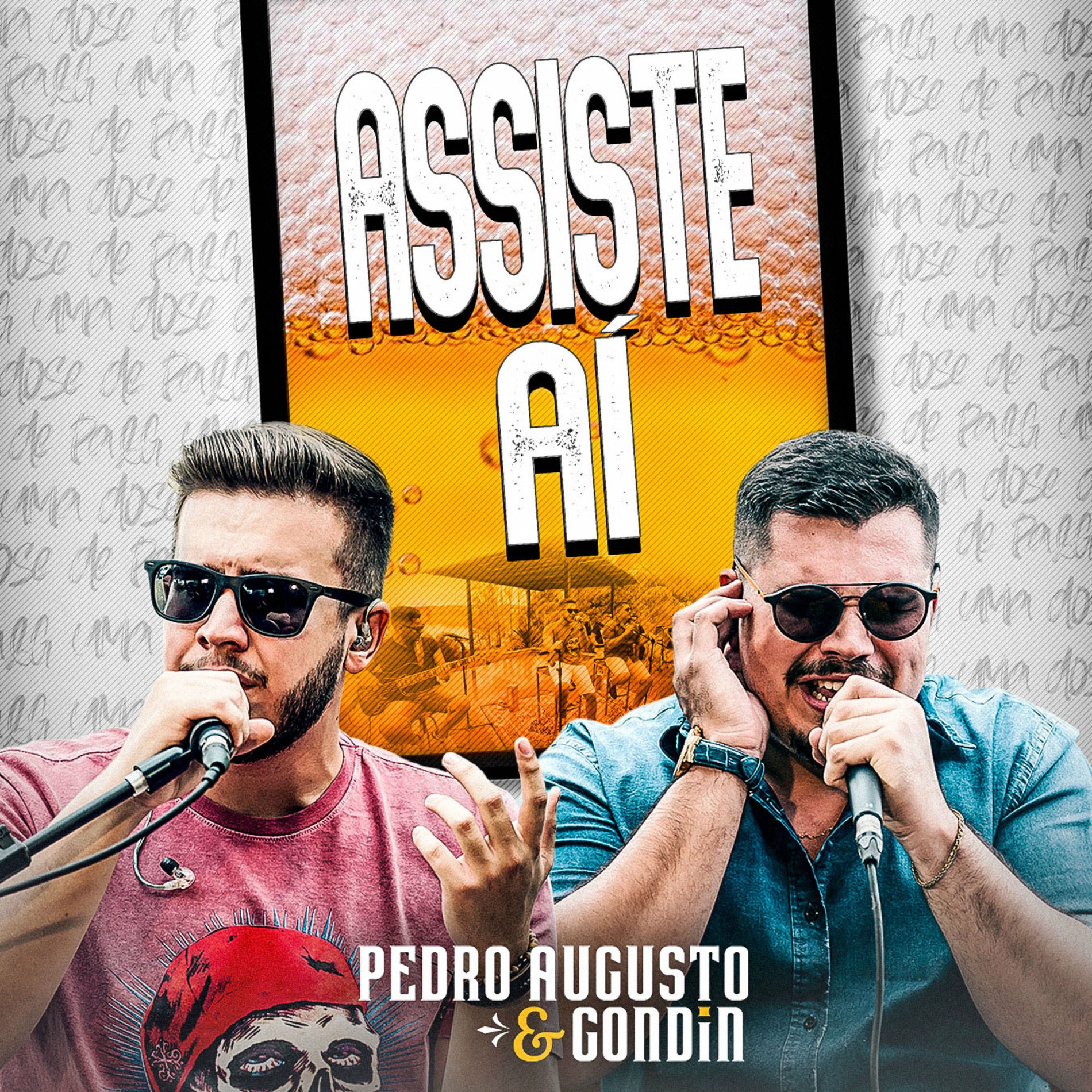 Album cover of Assiste Aí