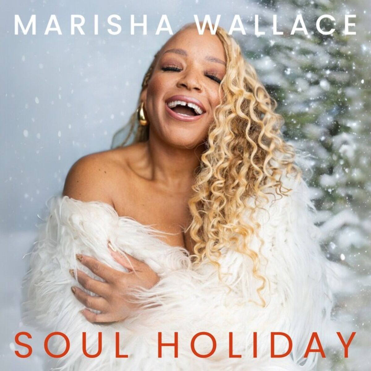 Album cover of Soul Holiday