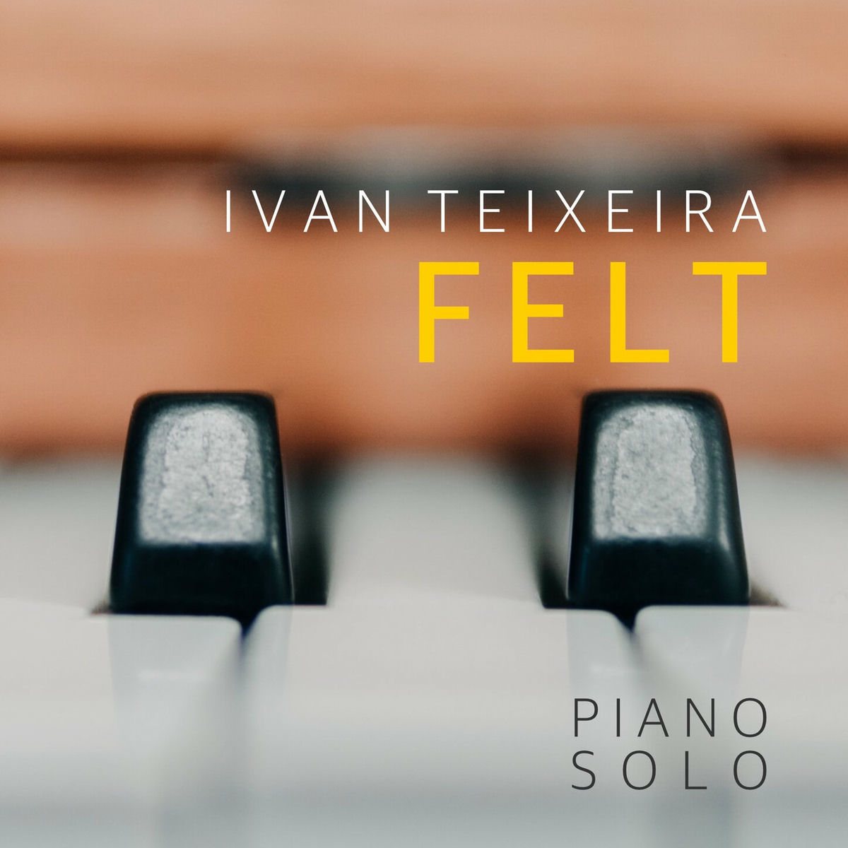 Album cover of Felt