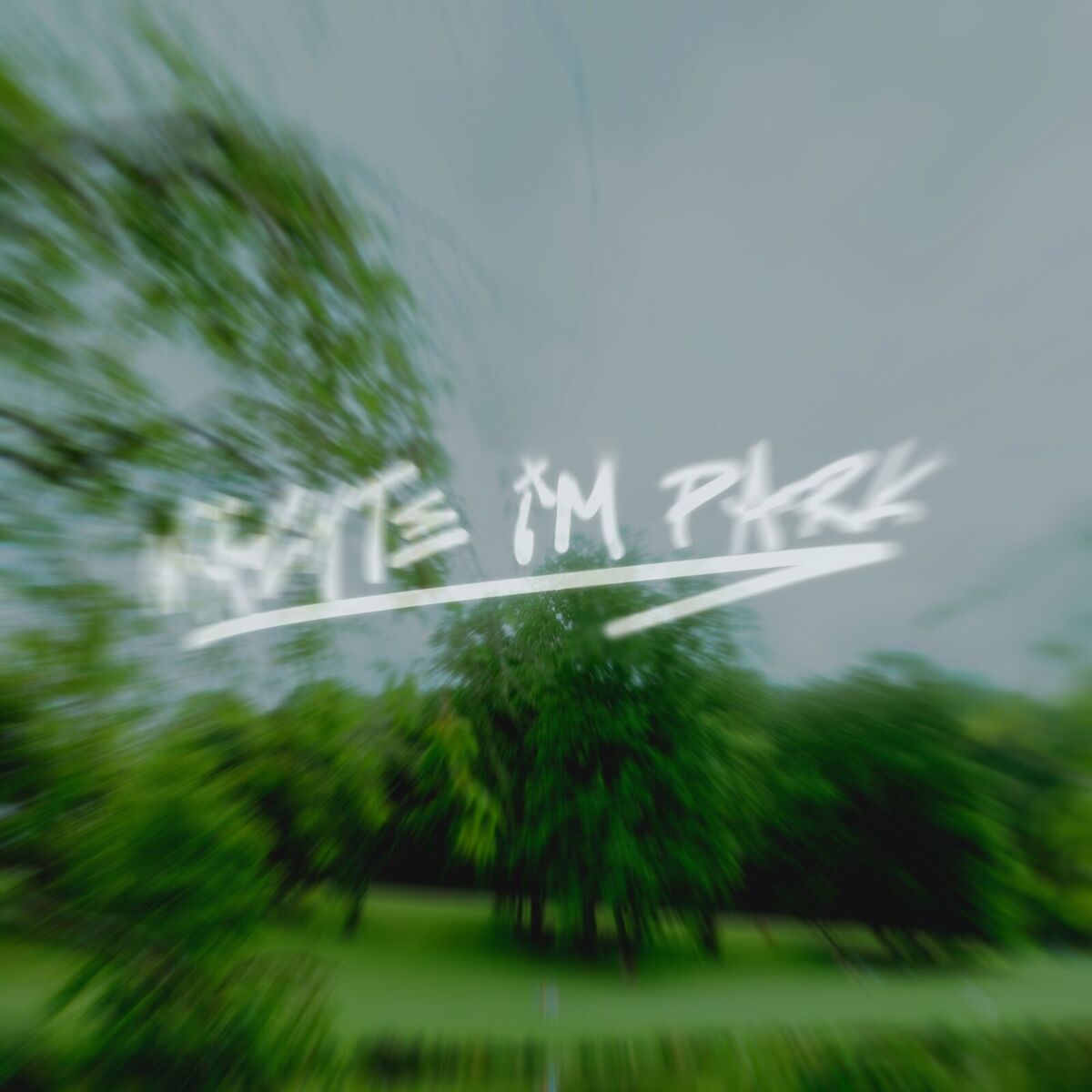 Album cover of Nächte im Park