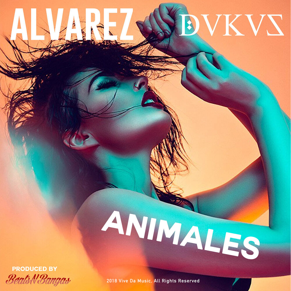 Picture of Animales