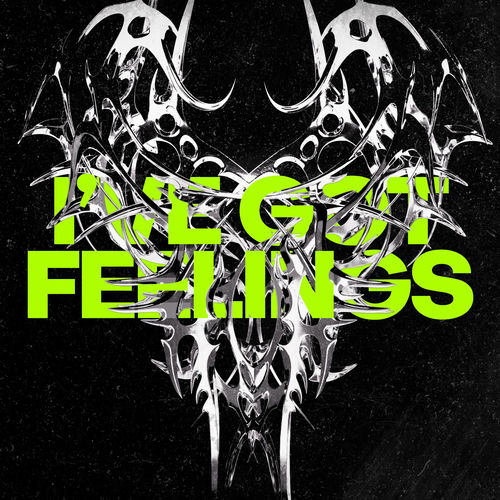 I've Got Feelings
