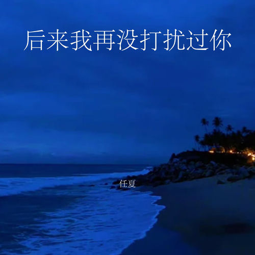 后来我再没打扰过你