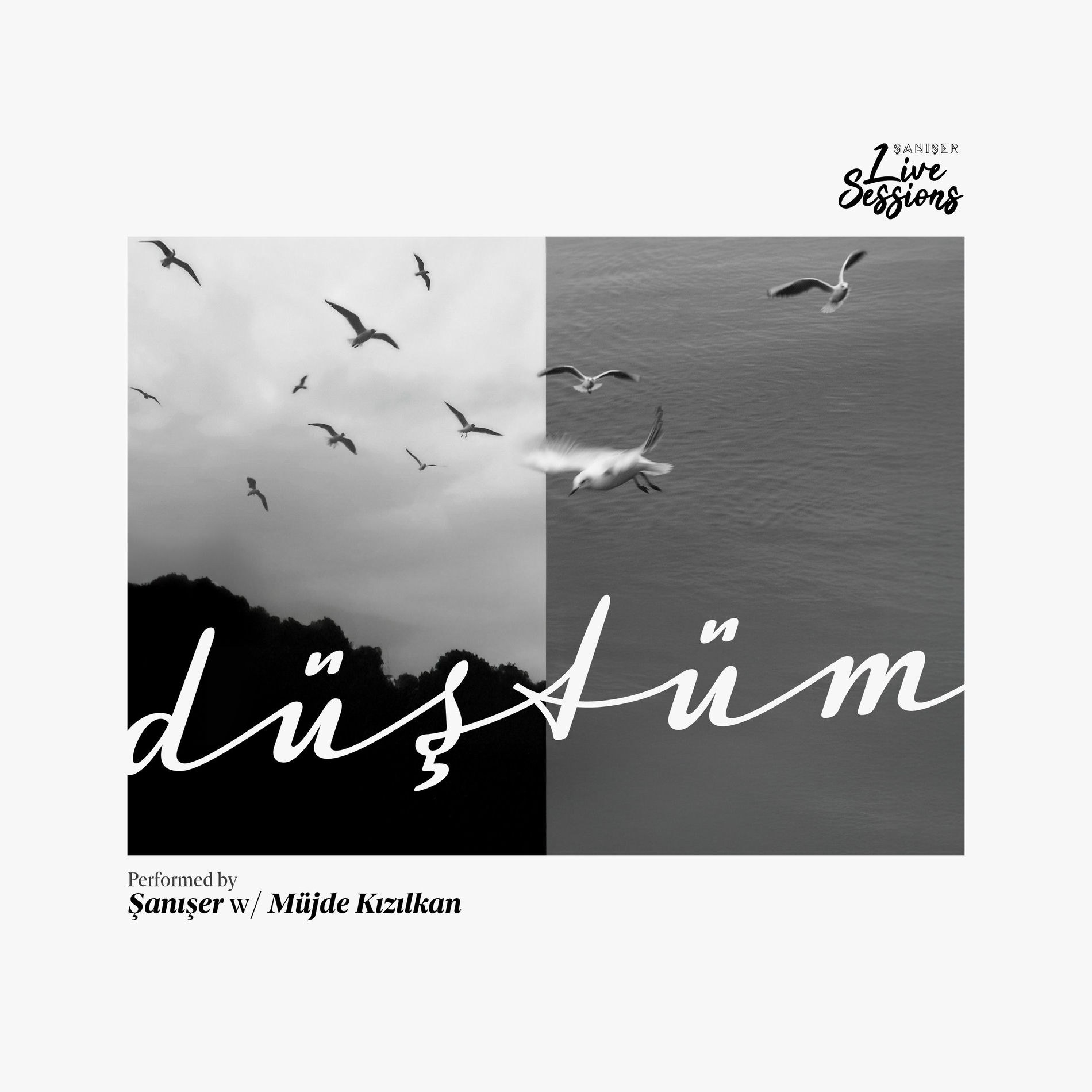 Album cover of Düştüm (Live)