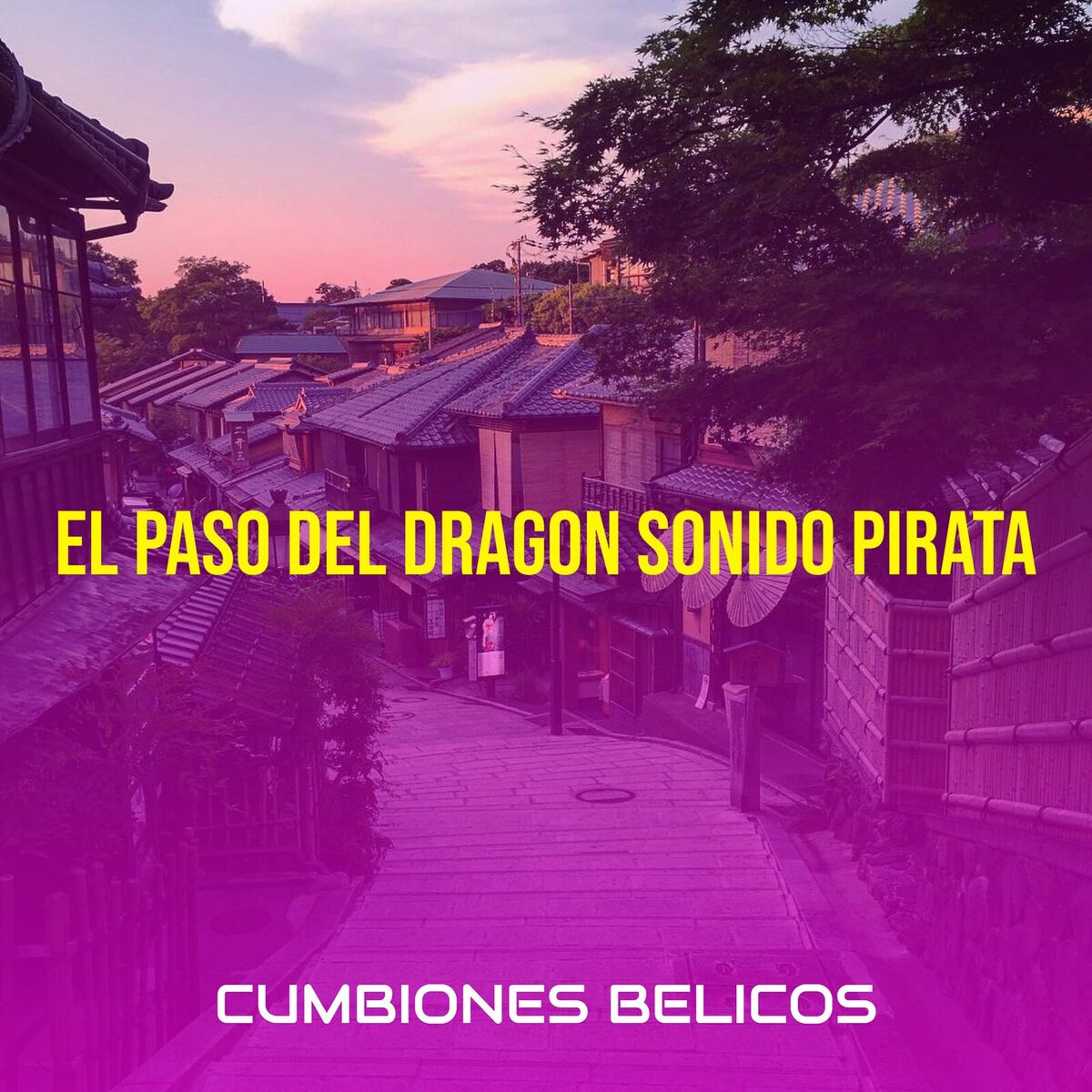 Album cover of El Paso Del Dragon Sonido Pirata