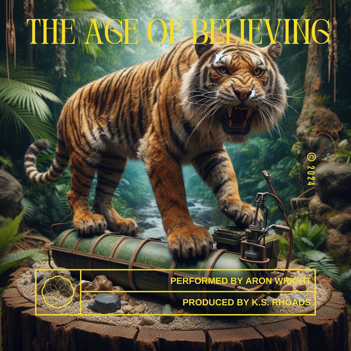 Album cover of The Age of Believing
