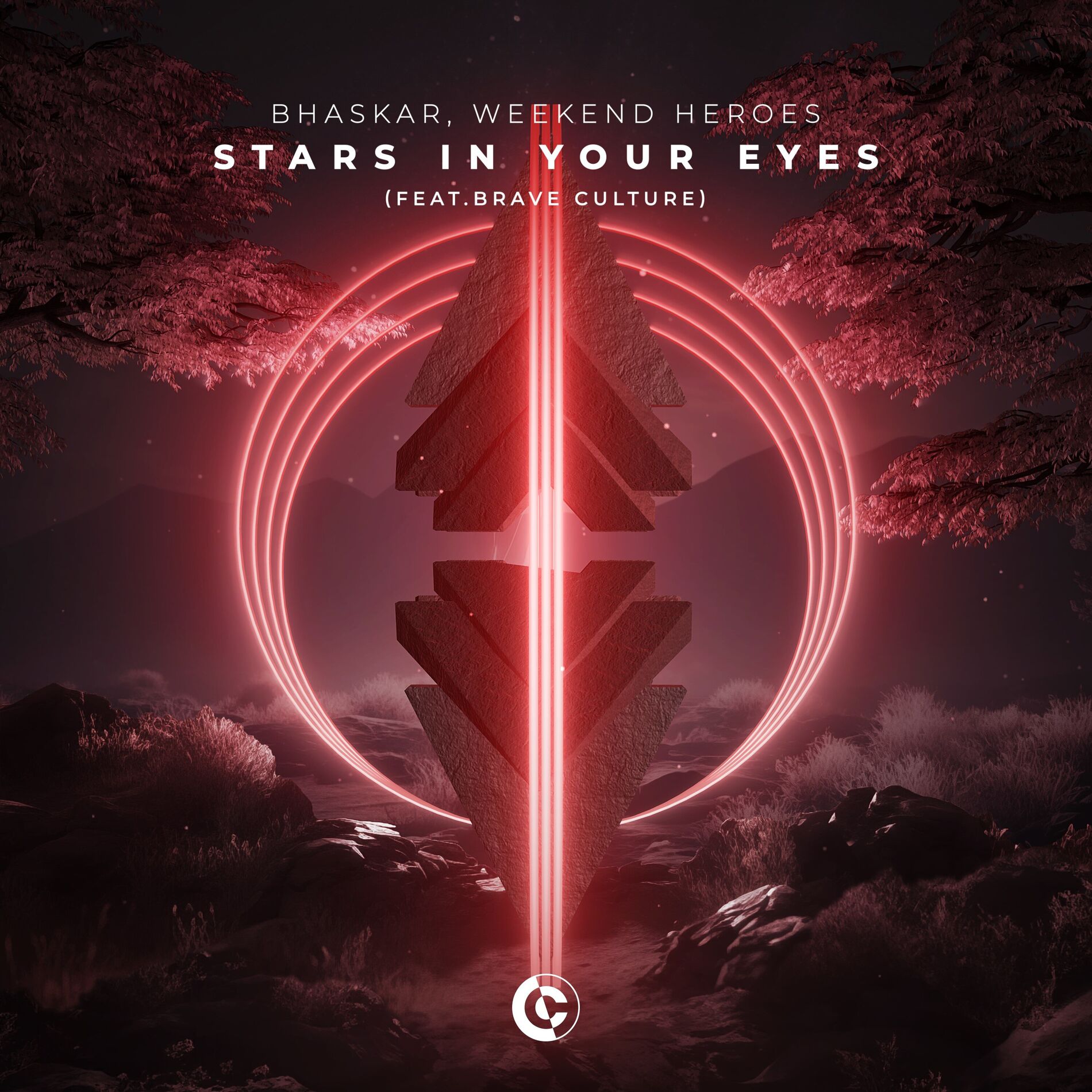 Album cover of Stars In Your Eyes (feat. Brave Culture)