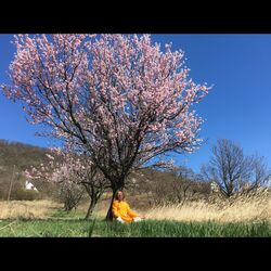 Cover of Endless Dance