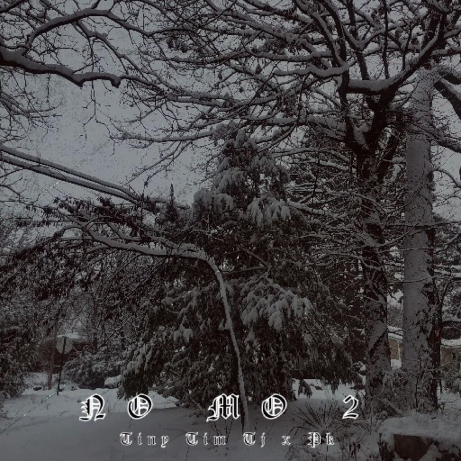 Album cover of No Mo 2 (feat. Pk)