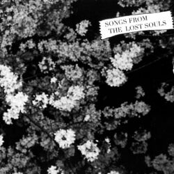 Cover of Songs From The Lost Souls