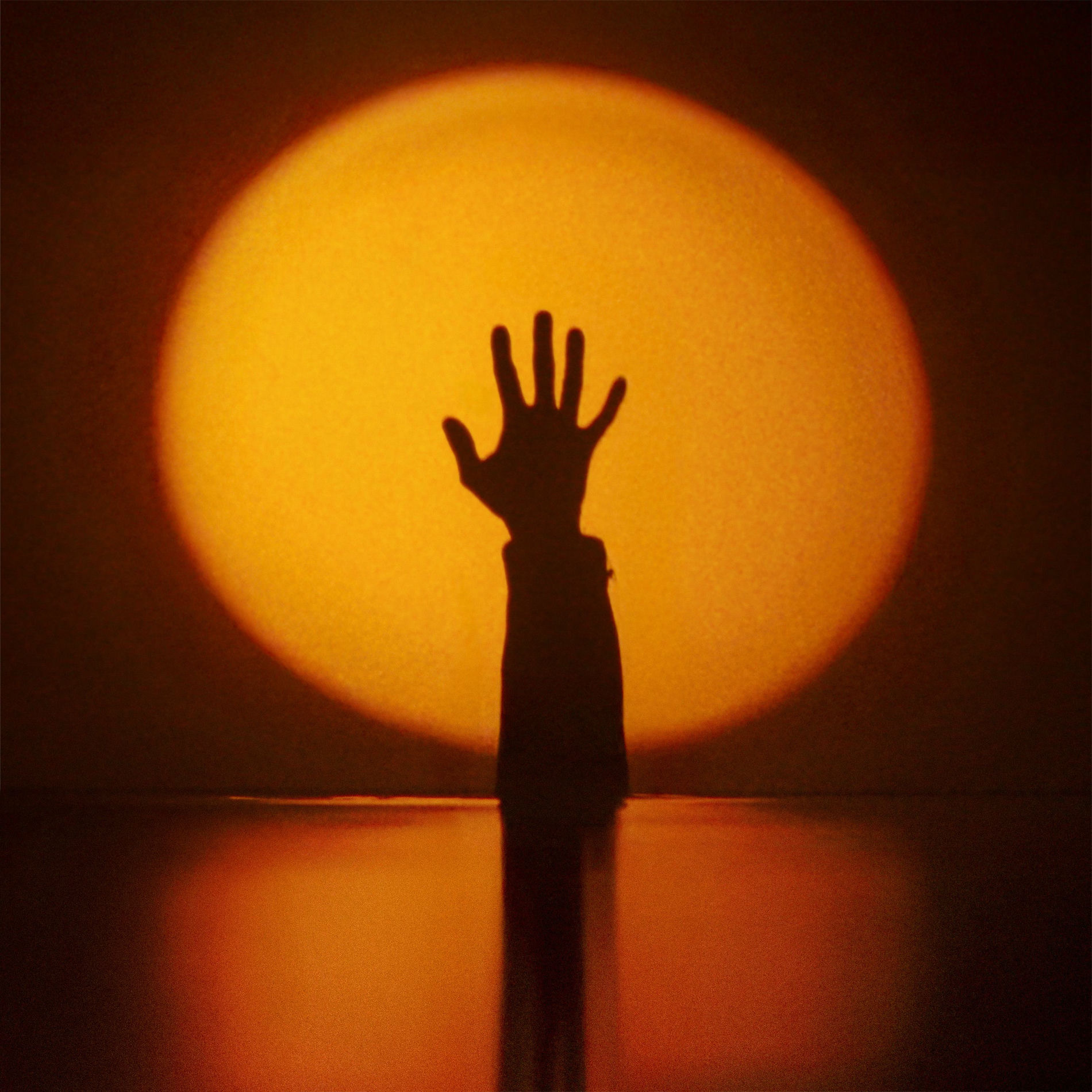 Album cover of Ja te vodim do dna