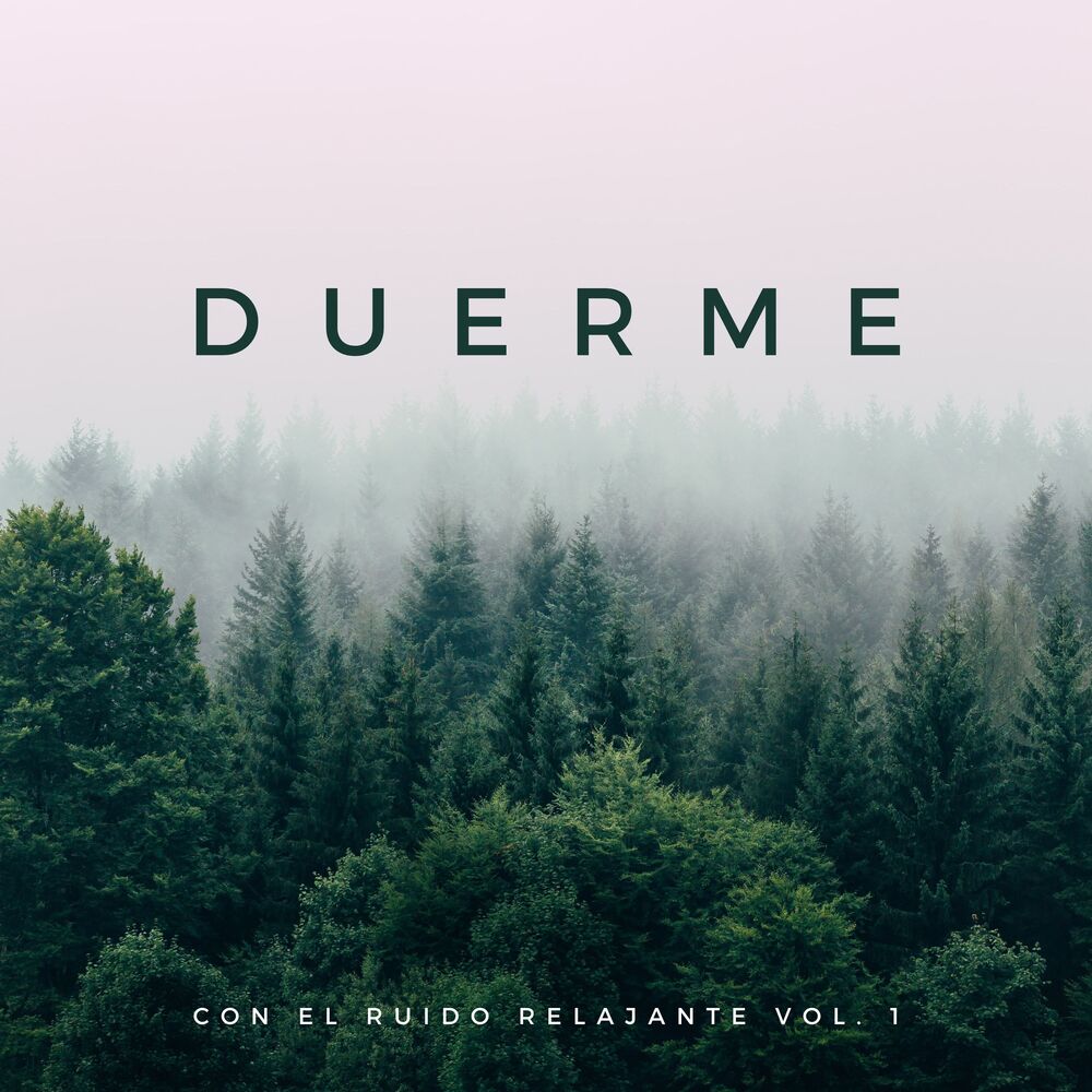 Picture of Duerme Con El Ruido Relajante Vol. 1
