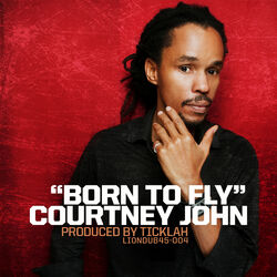 Cover of Born To Fly