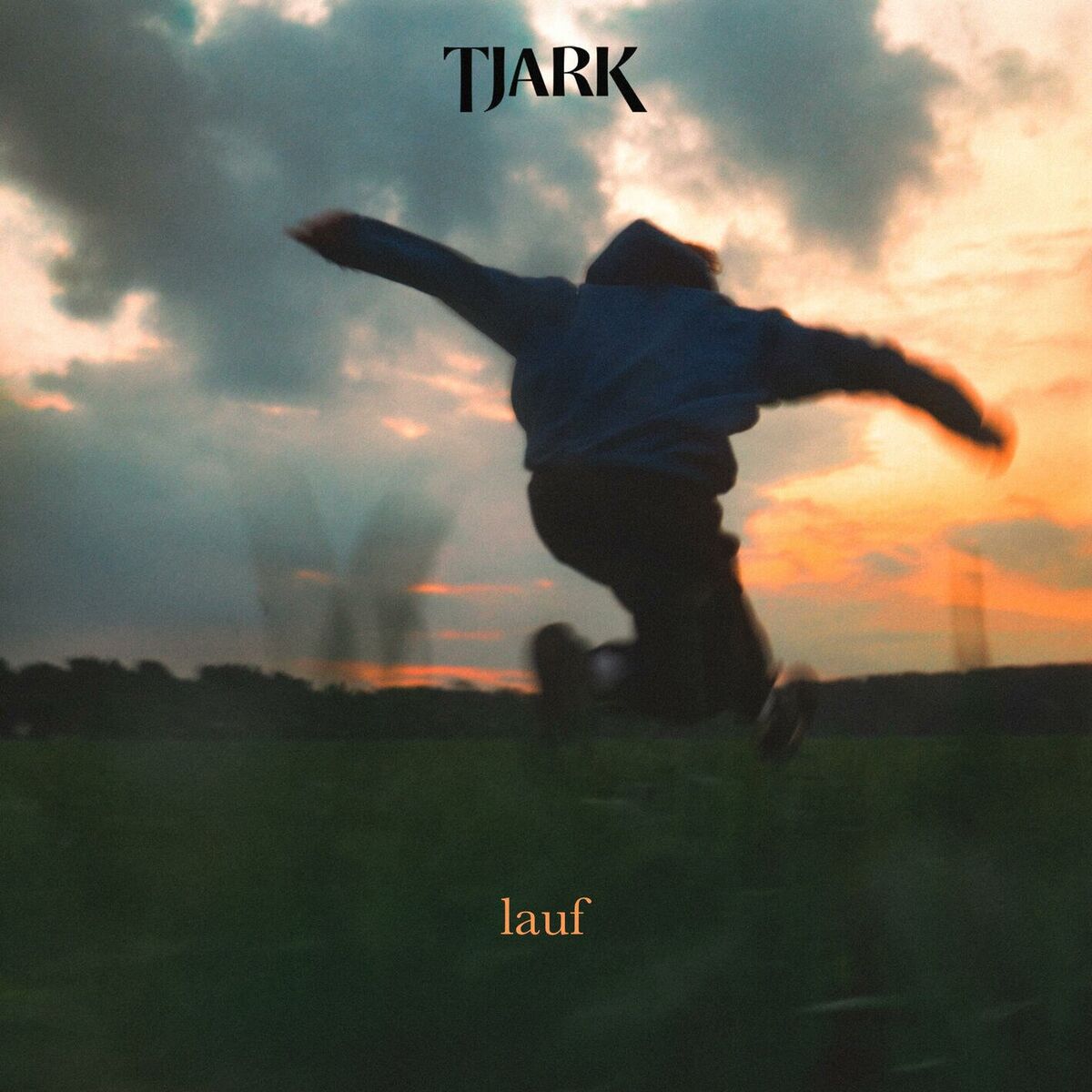 Album cover of lauf