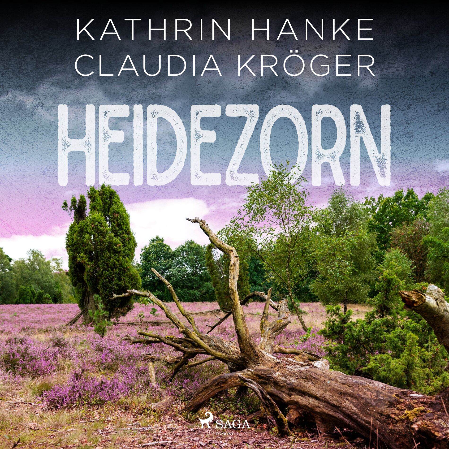 Album cover of Heidezorn (Katharina von Hagemann, Band 5)