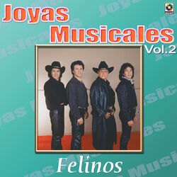 Cover of Joyas Musicales: Se Ponen Románticos, Vol. 2