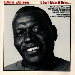 Cover of It Don't Mean a Thing...