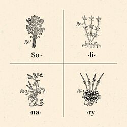 Cover of Solinary