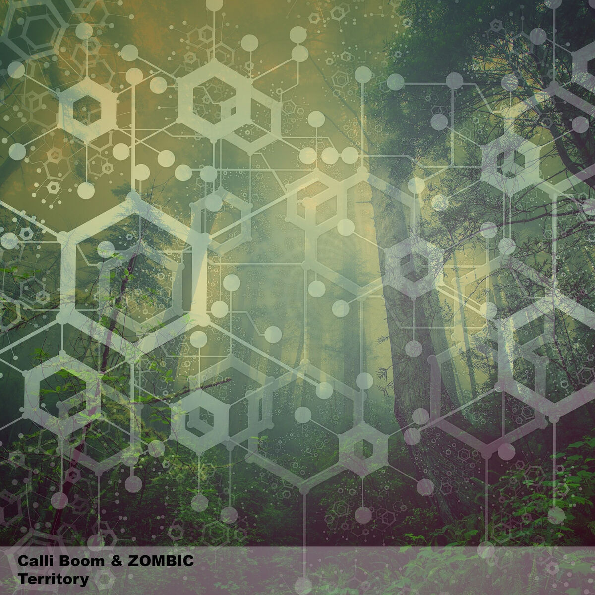 Album cover of Territory