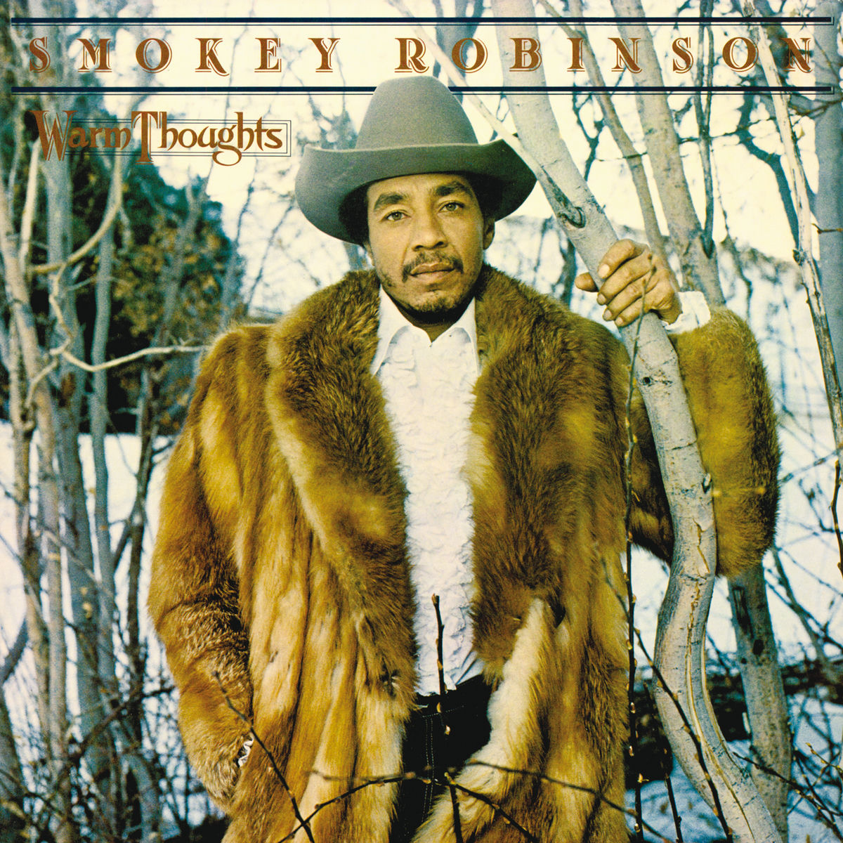 Album cover of Warm Thoughts