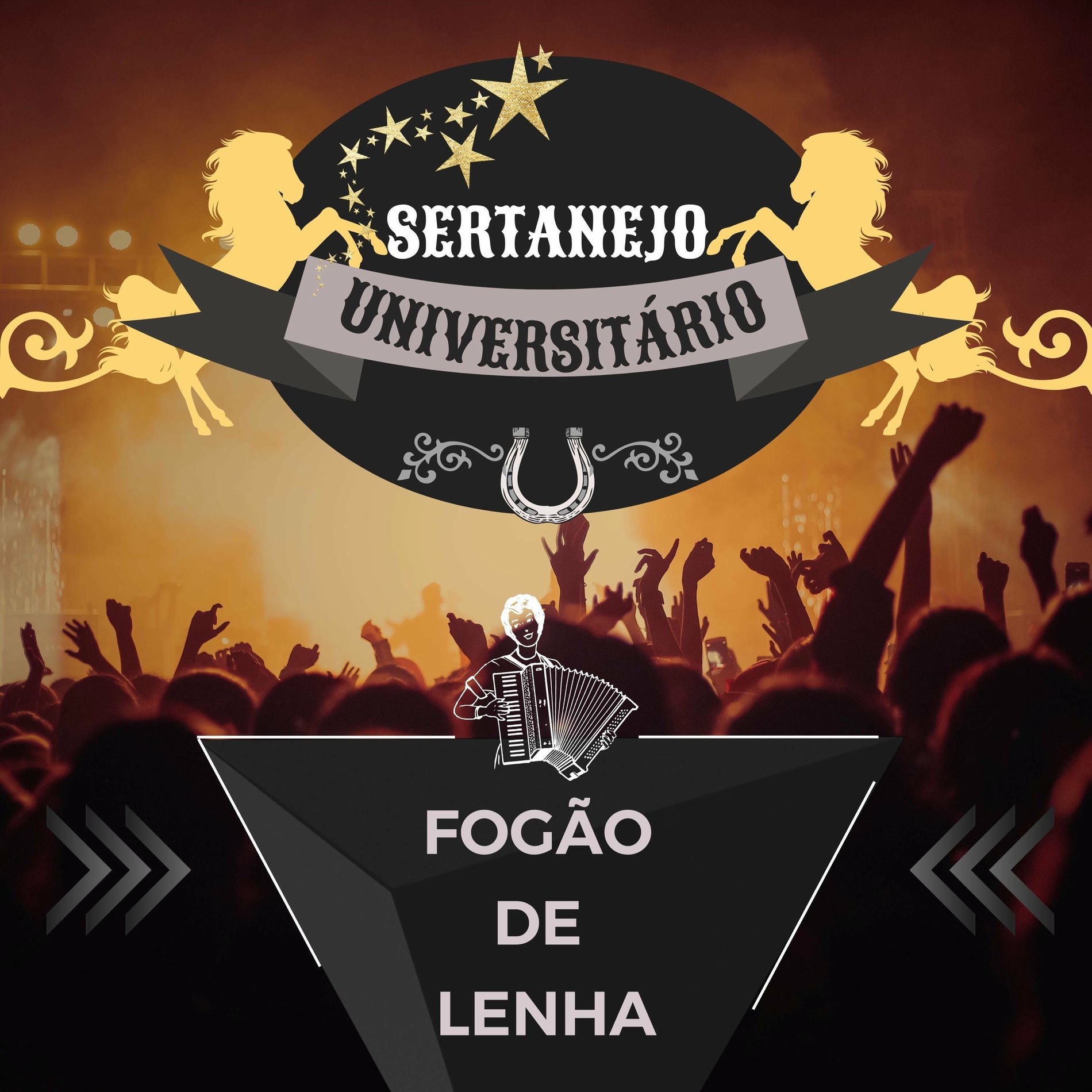 Album cover of Fogão de Lenha