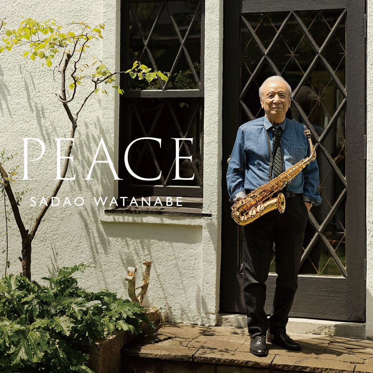 Album cover of PEACE