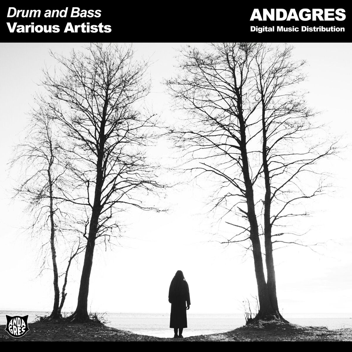 Album cover of Drum and Bass