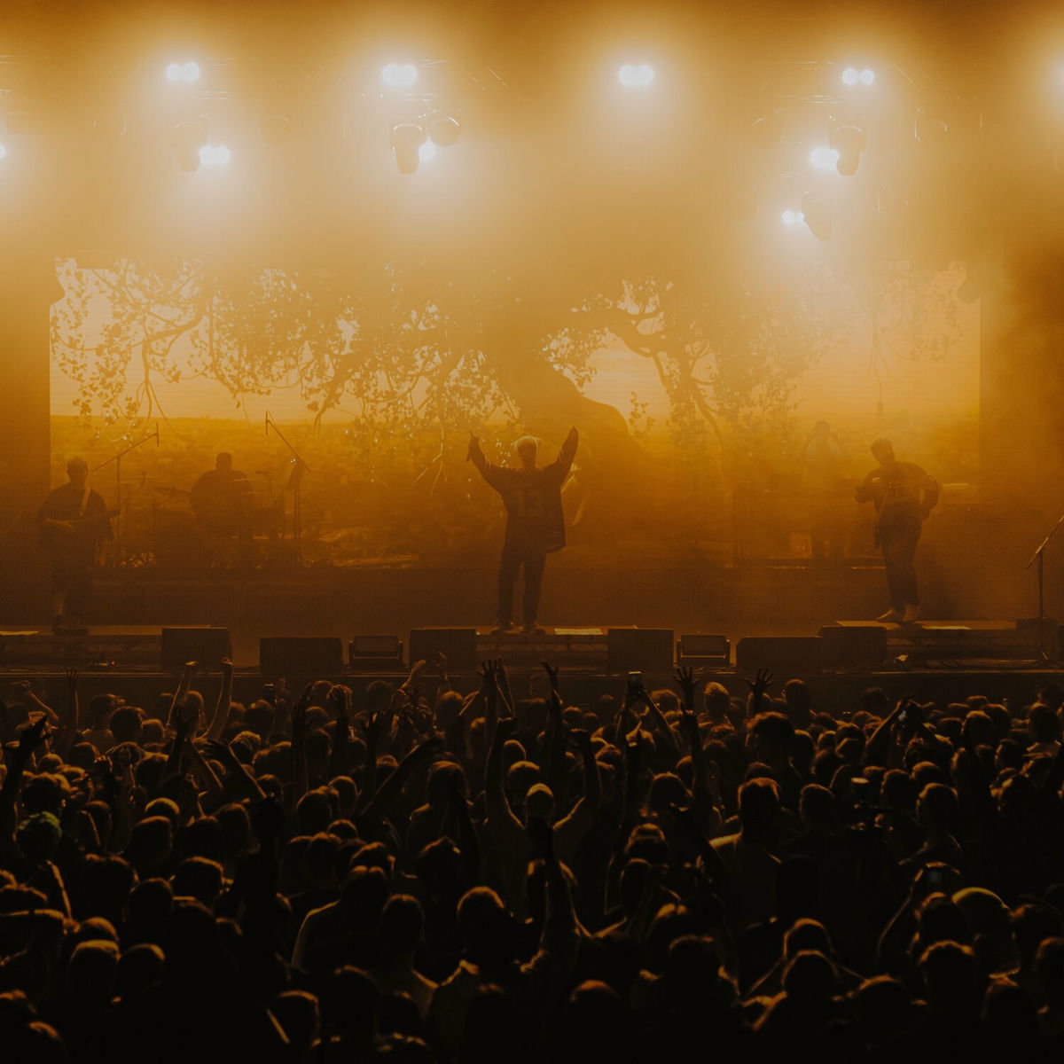 Album cover of ДЖАНГЛ (LIVE)