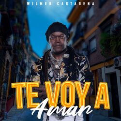 Cover of Te voy a amar
