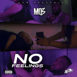 Cover of No Feelings
