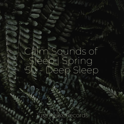 Calm Sounds of Sleep | Spring 50 - Deep Sleep