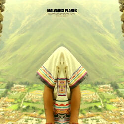 Cover of Malvados Planes