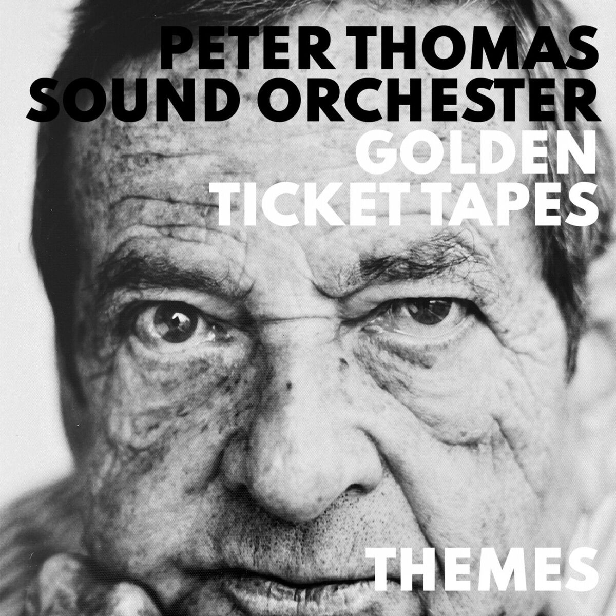 Album cover of Themes