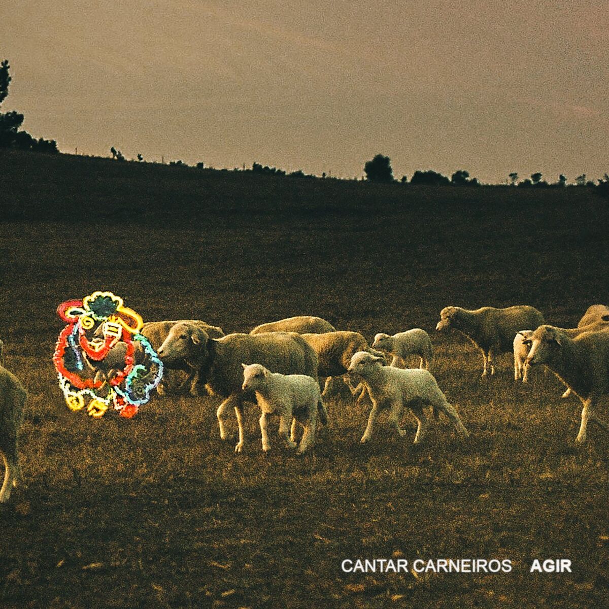 Album cover of Cantar Carneiros