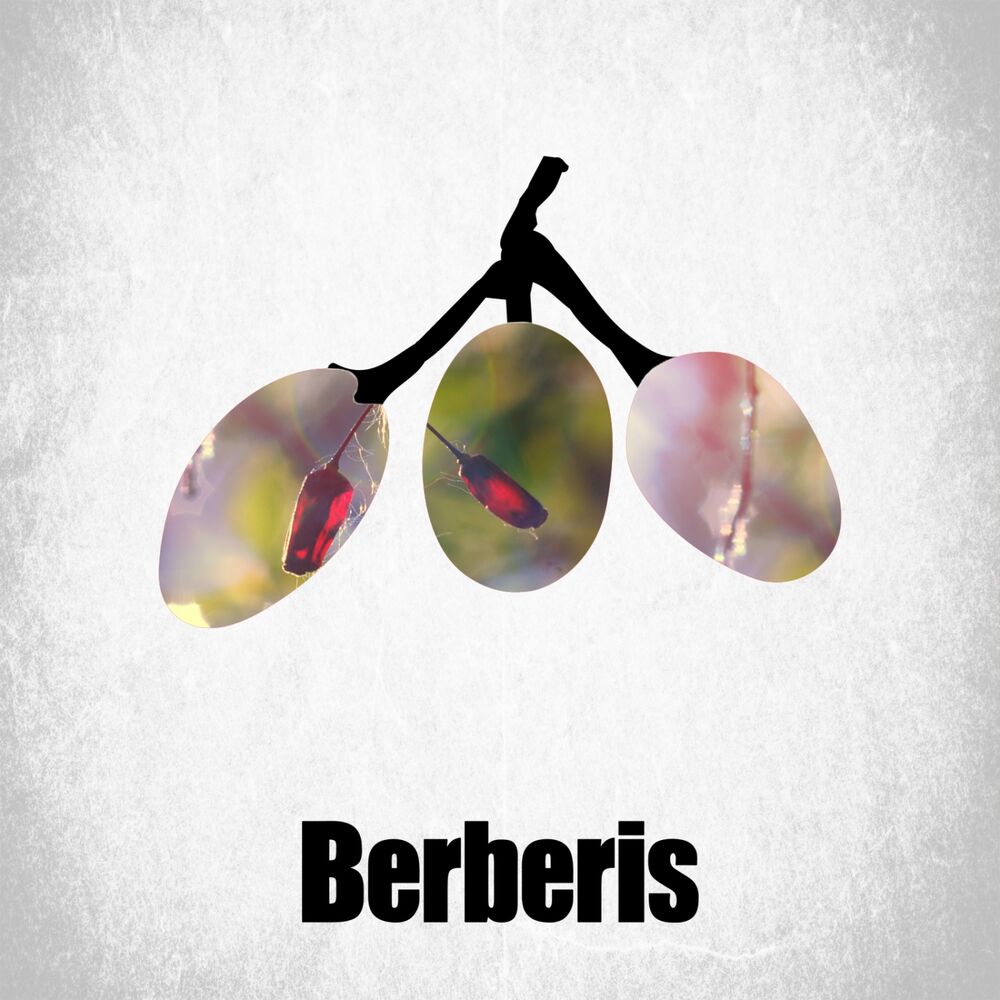 Picture of Shells With Bells EP