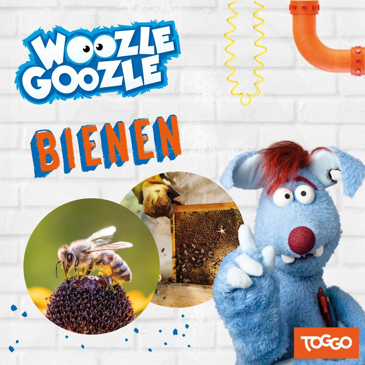 Album cover of Folge 21: Bienen (Das Original-Hörspiel zur TV-Serie)