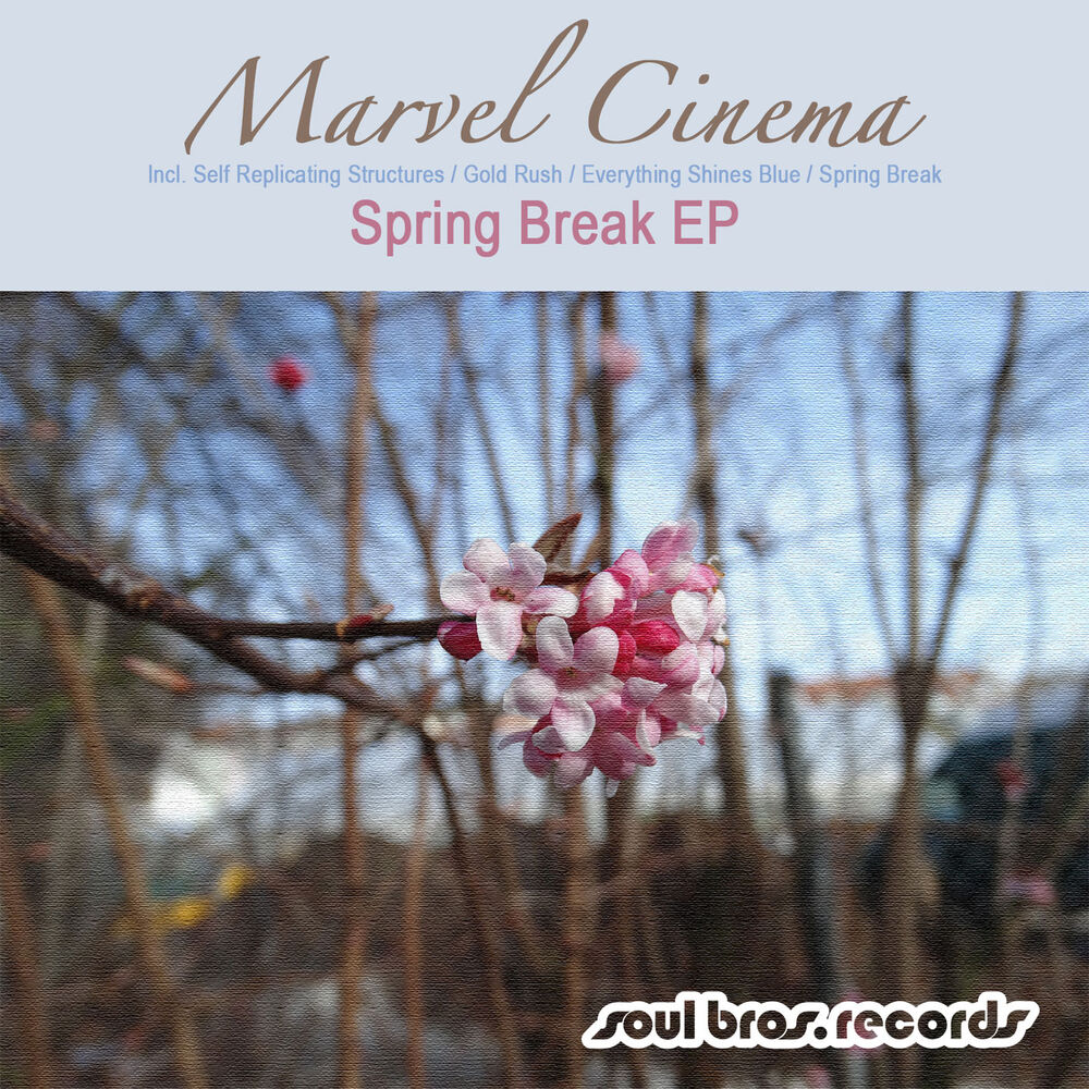 Picture of Spring Break EP
