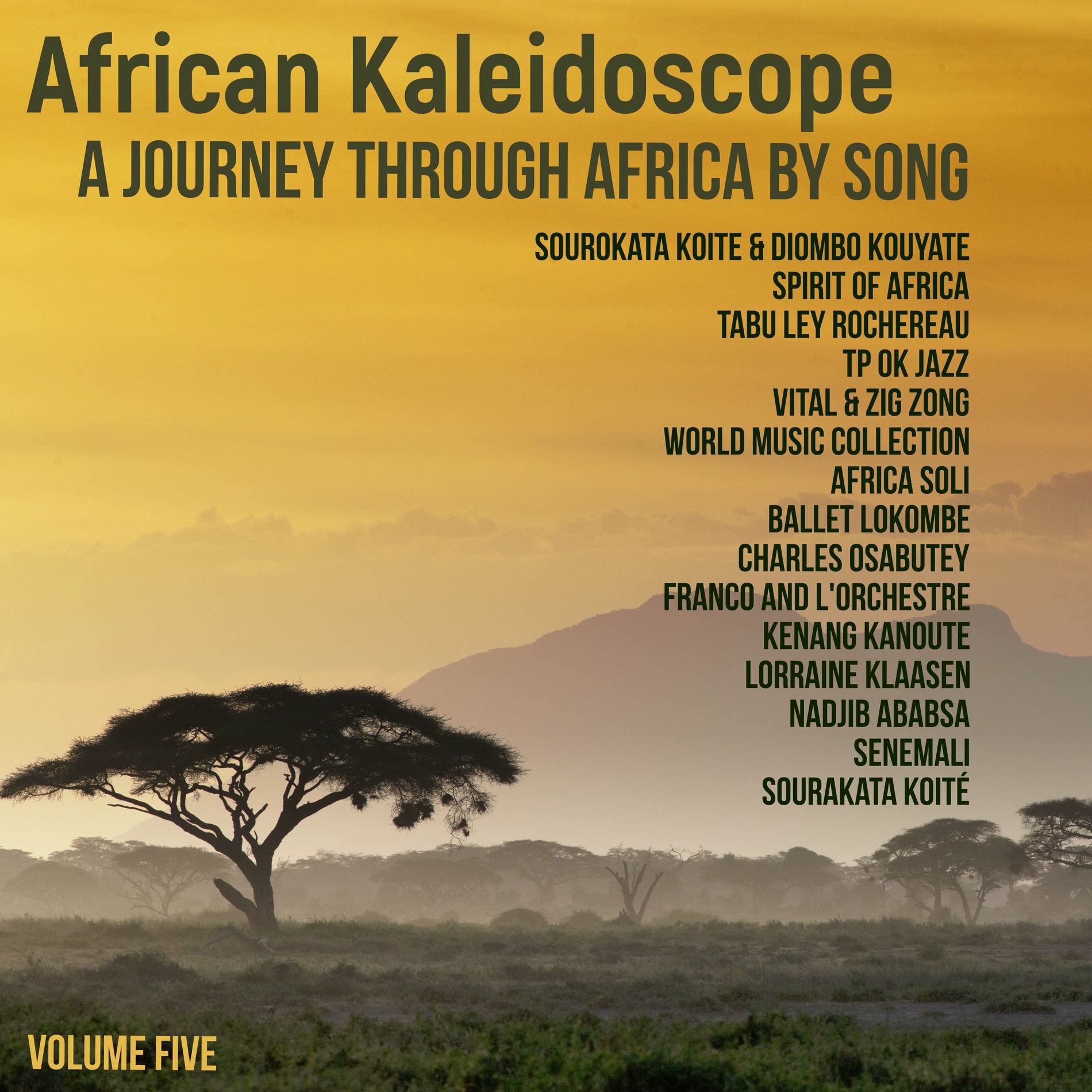 Album cover of African Kaleidoscope: A Journey through Africa by Song, Volume 5