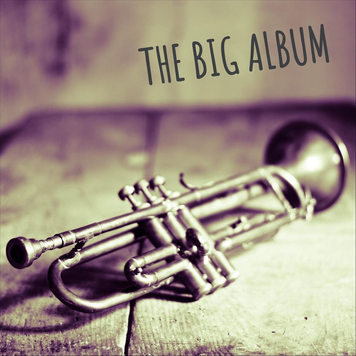 Album cover of The Big Album