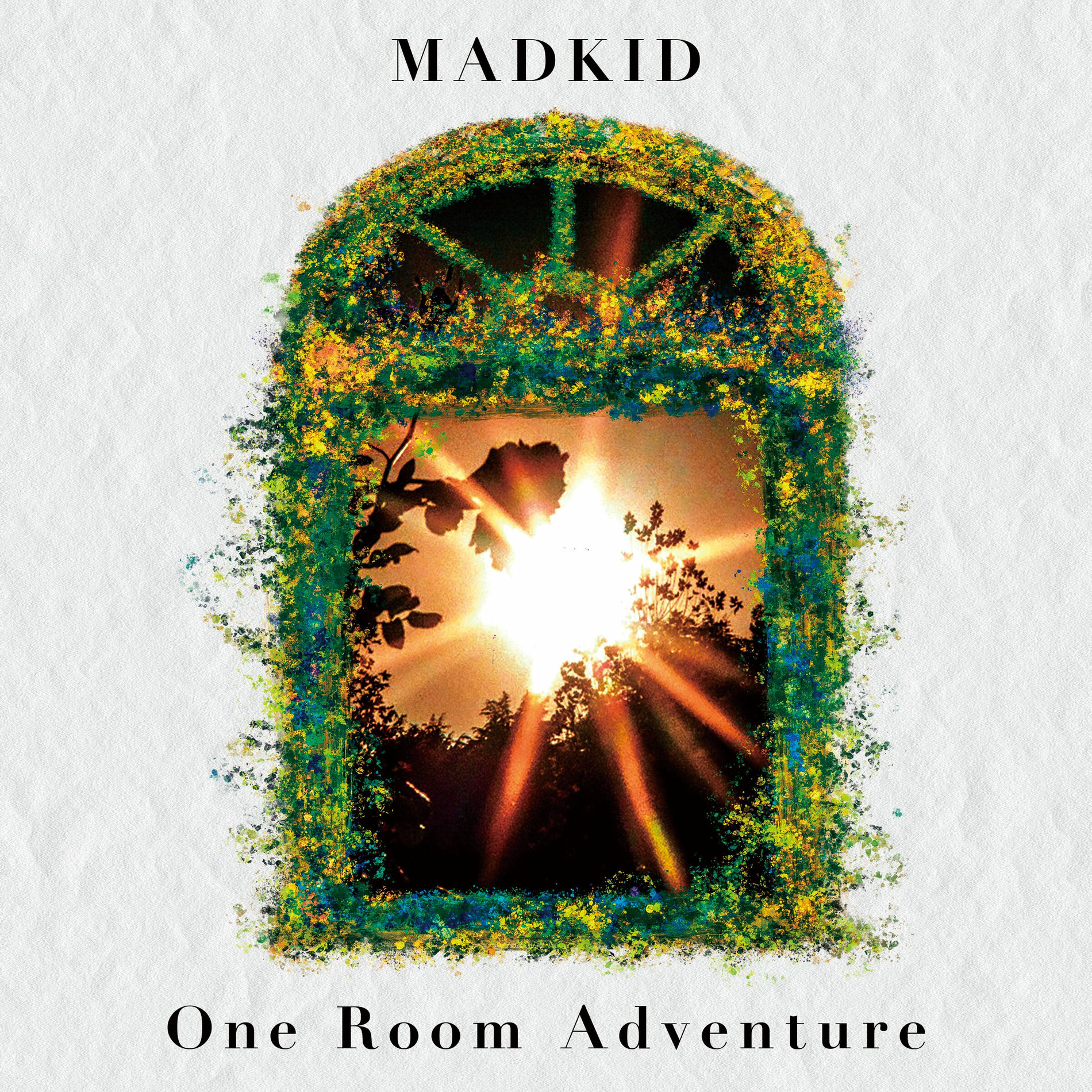 Album cover of One Room Adventure