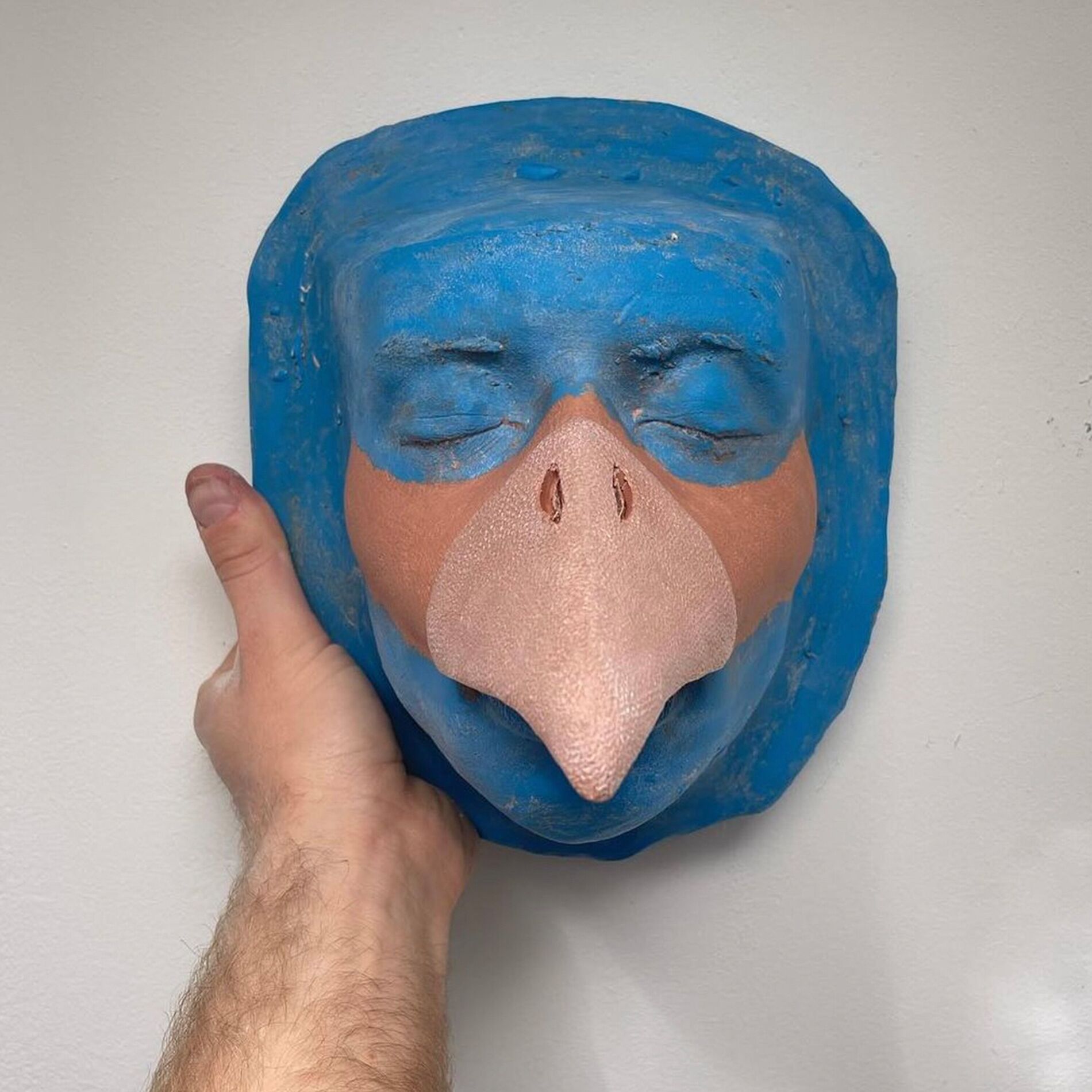 Album cover of The Bird Song