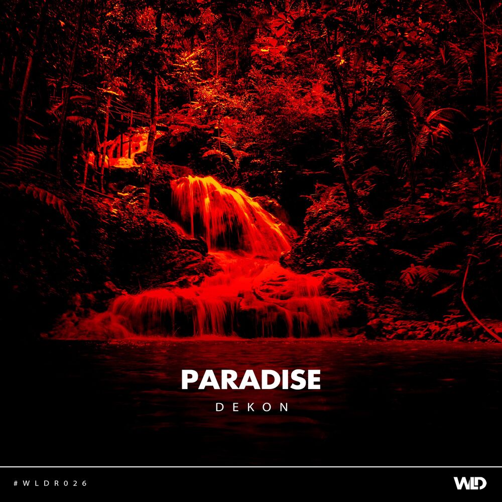 Picture of Paradise (Radio Edit)