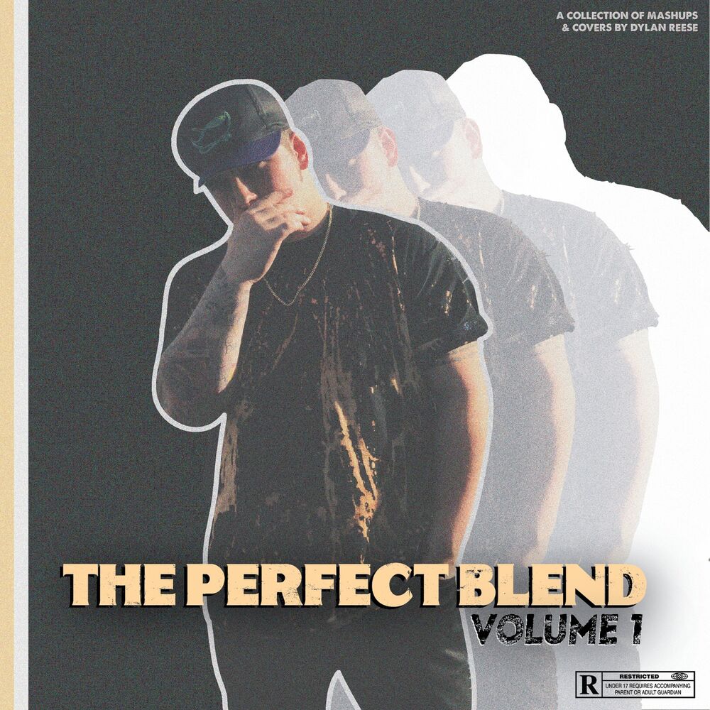 Picture of The Perfect Blend, Vol. 1