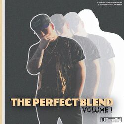 Cover of The Perfect Blend, Vol. 1